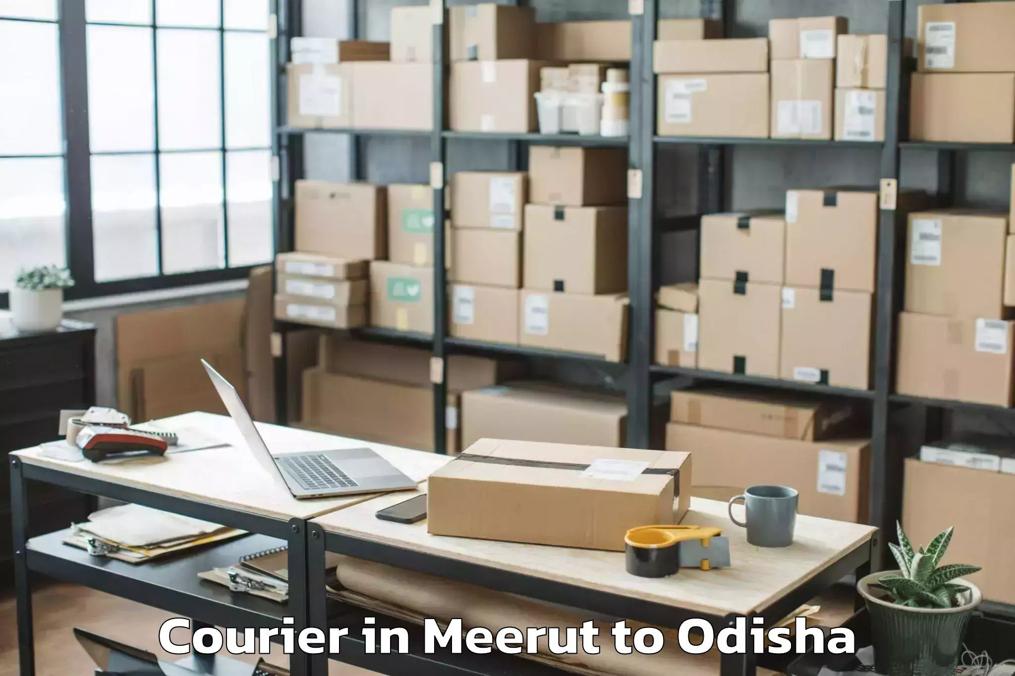 Leading Meerut to Athagad Courier Provider